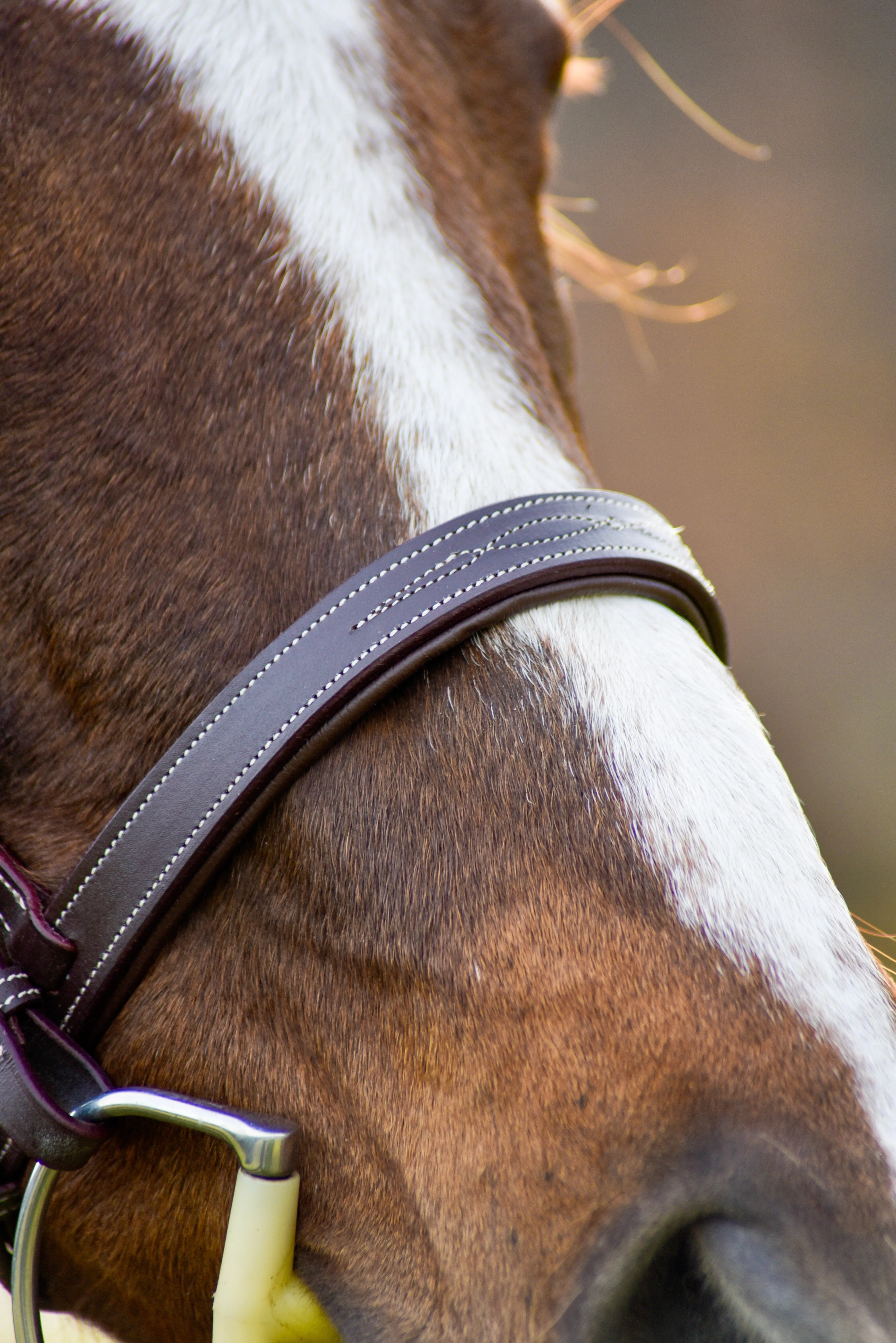 Auven Equestrian The Rowan Hunter Bridle